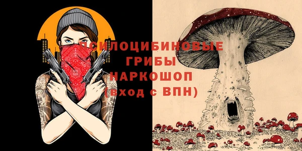 Альфа ПВП Алзамай
