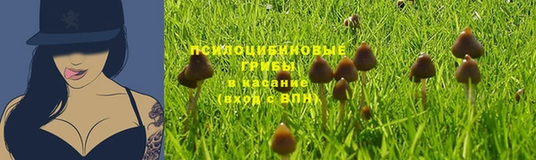 mix Алексин